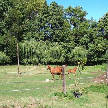 Rural Pool Retreat In The Hills *
